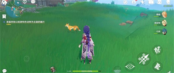 原神月章星句第二天稻妻动物拍照_原神纳塔动物