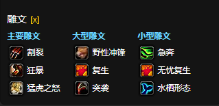 魔兽世界CTM怀旧服猫德雕文选择1