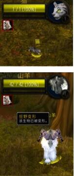 魔兽世界plus法师启迪符文怎么获得2