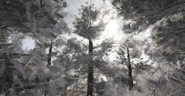 《绝地求生》雪地地图揭秘5