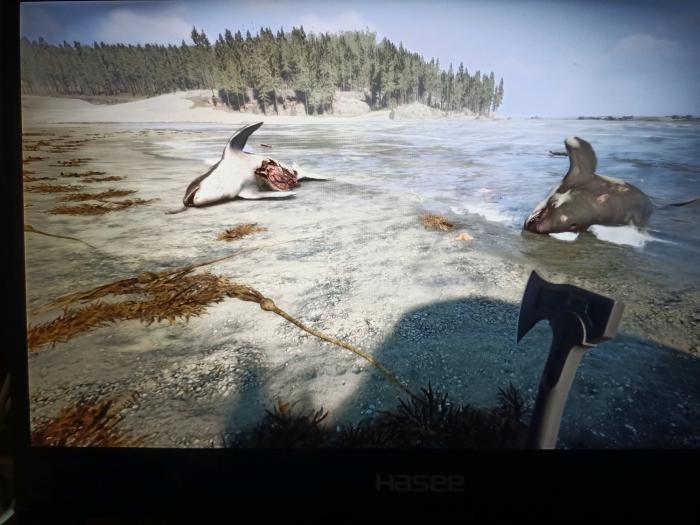 森林之子绳子在哪获得1