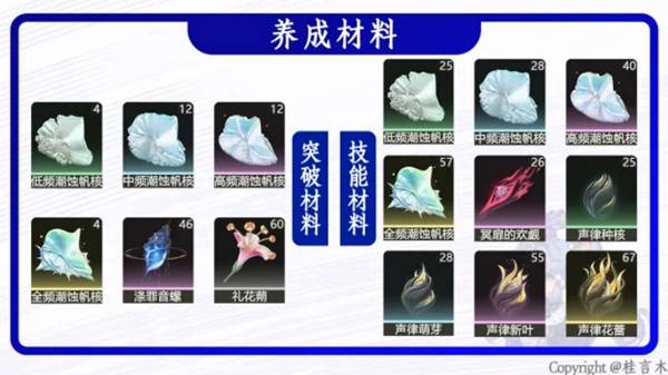 鸣潮洛可可培养攻略2