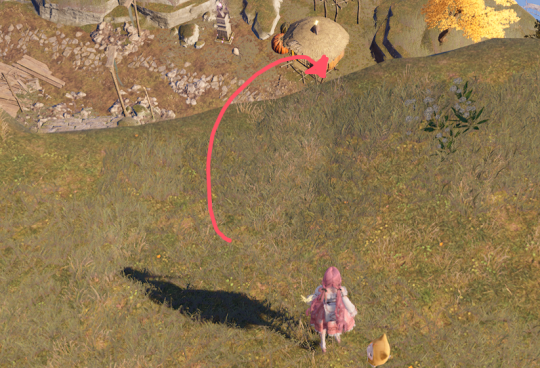 无限暖暖石之冠收集点17