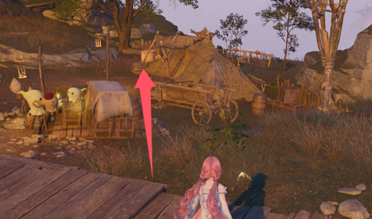 无限暖暖石之冠收集点34