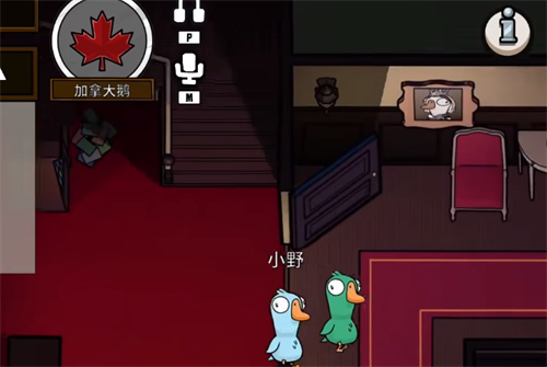 鹅鸭杀加拿大死了为什么没报警2