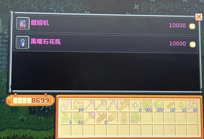 星露谷物语遗失商店里有什么1