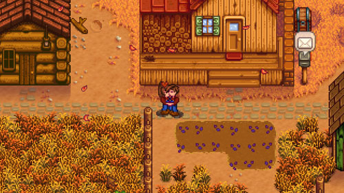 星露谷物语怎么亲吻npc1