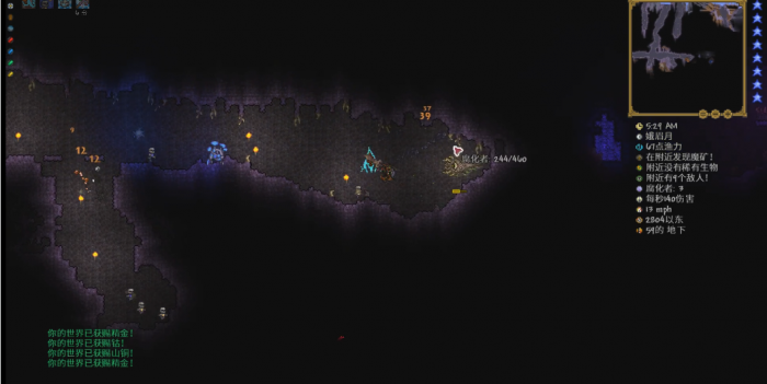 泰拉瑞亚灾厄战士肉后怎么配装1