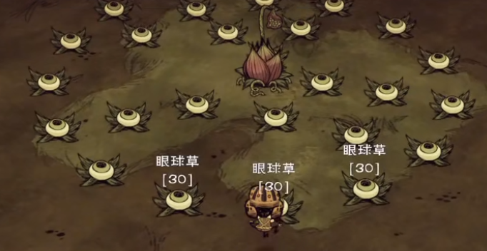 饥荒食人花有什么作用1