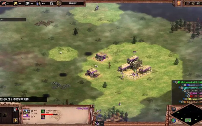 帝国时代2木头采光了怎么办2