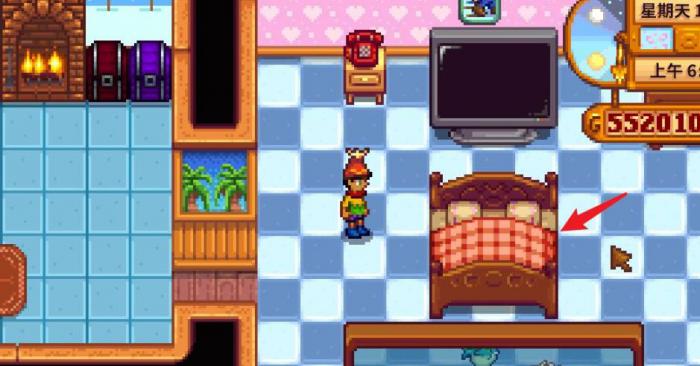 星露谷物语两个玩家怎么生孩子2