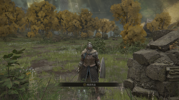 艾尔登法环全主线支线图文攻略3