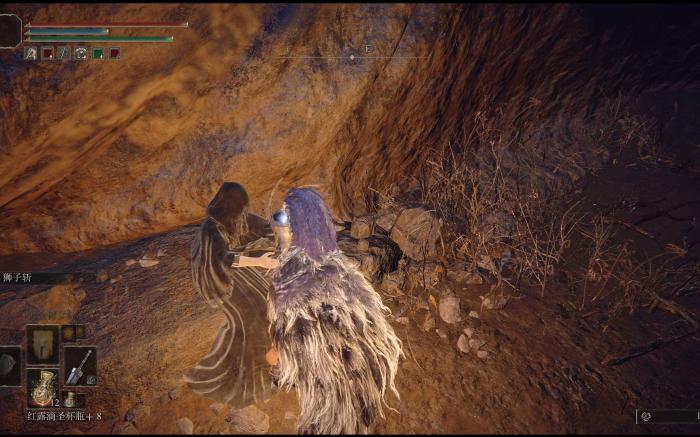 艾尔登法环菲雅长什么样2