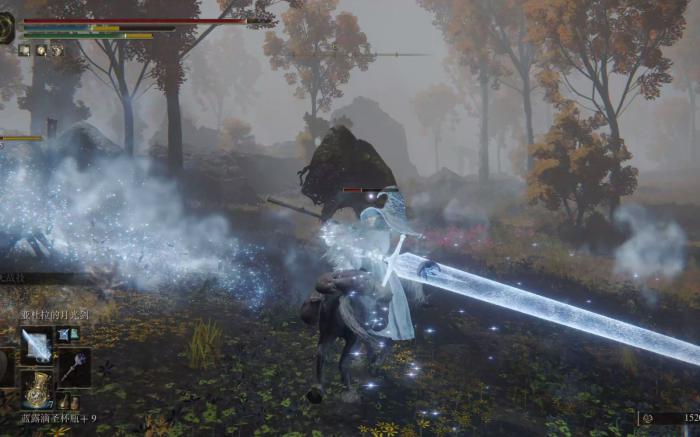 艾尔登法环盾刺流武器有哪些2