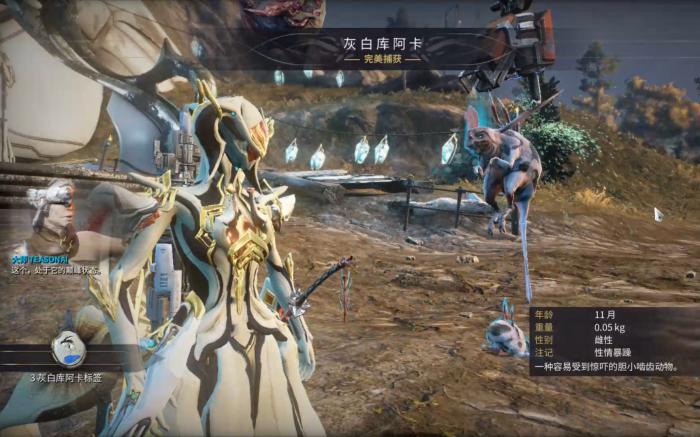 星际战甲小鸭子声望怎么刷3