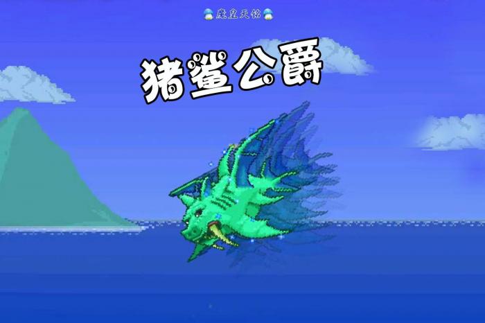 泰拉瑞亚猪鲨和世纪之花先打哪个3