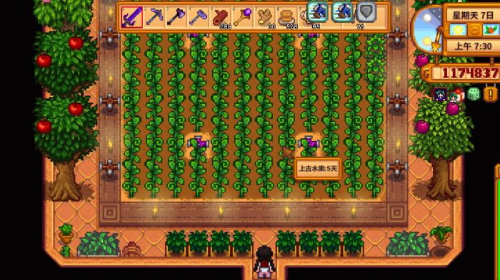 星露谷物语温室有什么用1