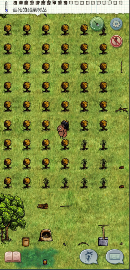 希望之村怎么种醋栗1