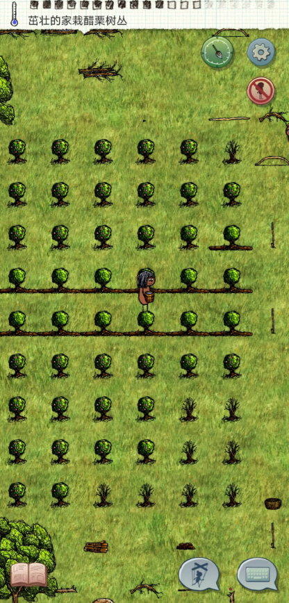 希望之村怎么种醋栗2