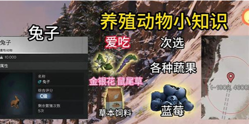 七日世界动物去哪里抓2