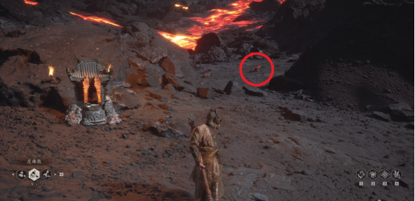 黑神话悟空特品九叶灵芝精精魄怎么获取2