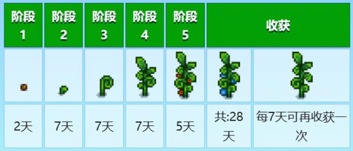 星露谷物语古代种子怎么获得4