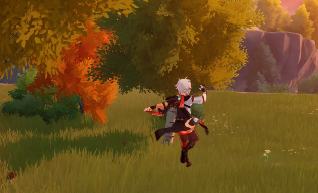 原神珍稀之鸟任务怎么做1