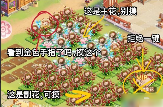 我的花园世界花灵怎么弄_我的花园世界花灵怎么种教程