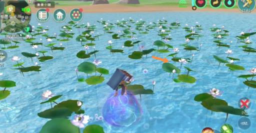 创造与魔法哪里白莲最多?5