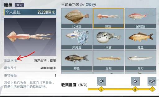 和平精英鱿鱼在哪钓?_和平精英钓鱼的地方有哪些