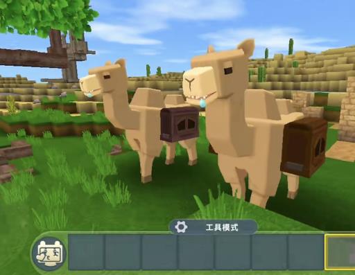 迷你世界怎样驯服骆驼?5