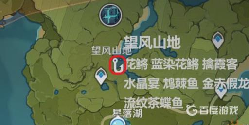 原神金赤假龙哪里有怎么获得?3