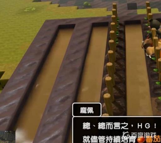 勇者斗恶龙创世小玩家２番茄怎么种出来?5