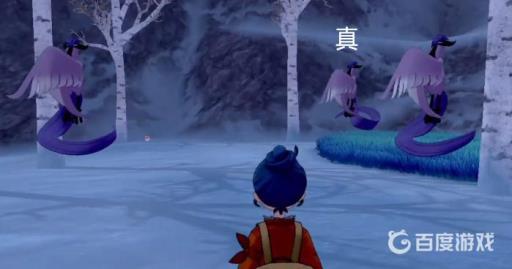 剑盾急冻鸟怎么捉?5