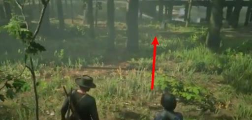 荒野大镖客夏洛蒂第三部分怎么触发?3