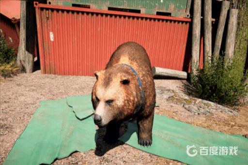 孤岛惊魂5灰熊皮哪里获得?2