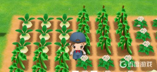 牧场物语重聚矿石镇和橄榄镇哪个好玩?4