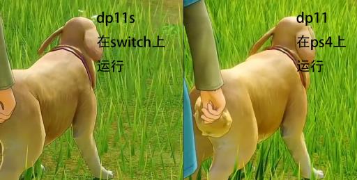 dq11s和dq11有哪些区别?2