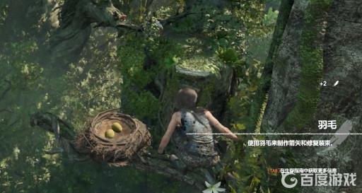 古墓丽影羽毛怎么获得?2