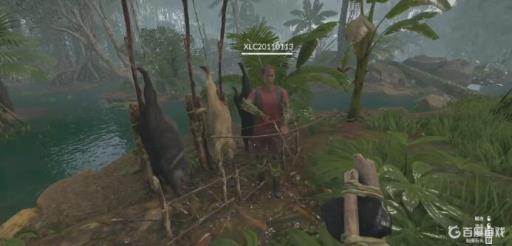 丛林地狱最好的安家地点是哪?3