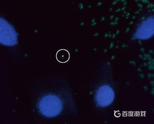 深海迷航独眼巨人号船体碎片在哪里找?9