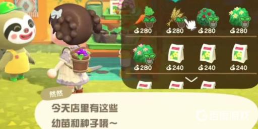 集合啦！动物森友会小麦种子在哪买?2