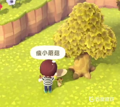 动森蘑菇一天几个?2