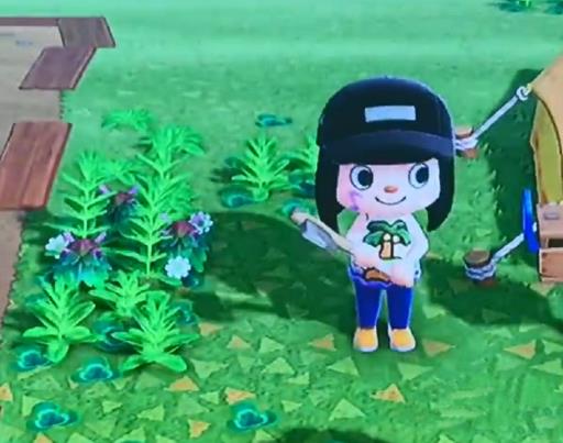 动森软木材怎么获取?3