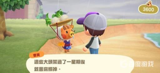 动森曹卖在哪儿?2