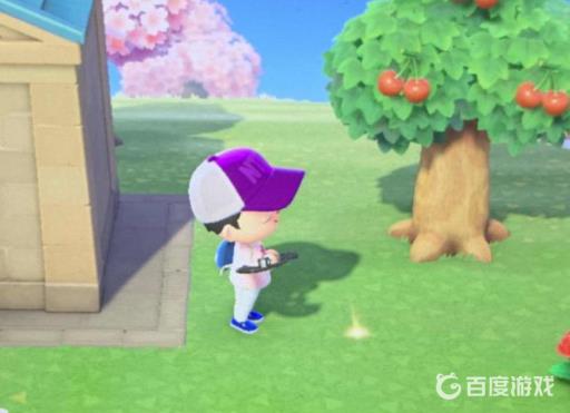 如何中发财树?1