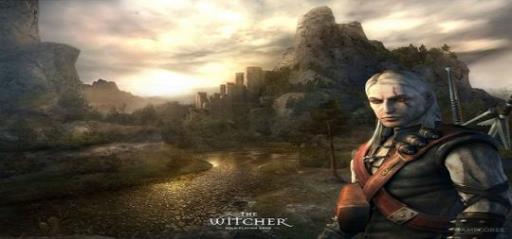 巫师3拍卖会买什么好?1