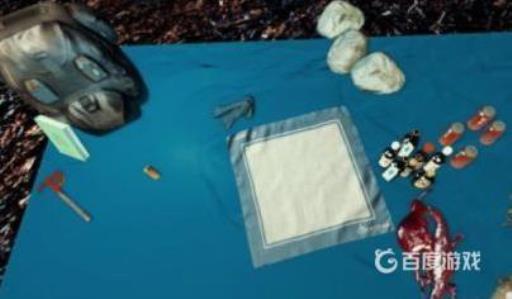 森林怎么恢复生命?3