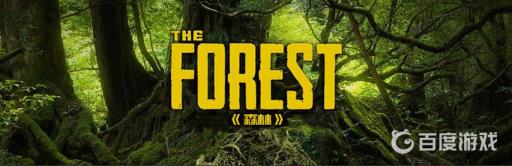 森林小女孩在哪?1