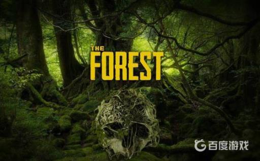 森林传送队友代码是什么?_森林传送指令怎么输